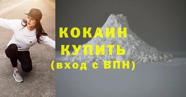 бошки Белокуриха