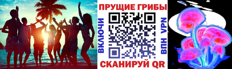 mega ссылка  Яровое  Псилоцибиновые грибы мухоморы  купить наркотики сайты 