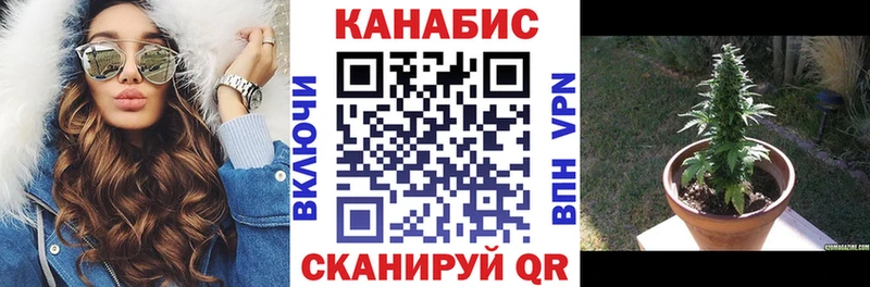 Шишки марихуана ГИДРОПОН Яровое